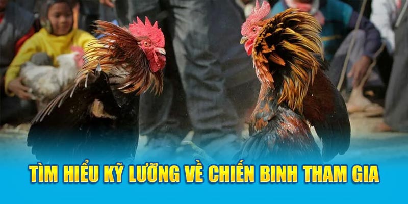 Tìm hiểu kỹ lưỡng về chiến binh tham gia